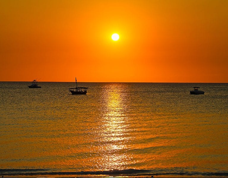 sun2