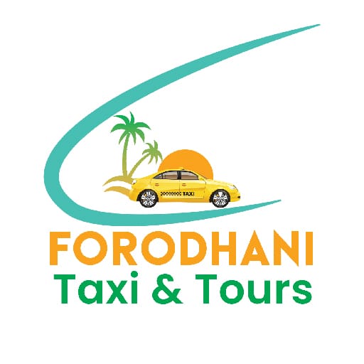 webicon-logo-forodhanitaxi